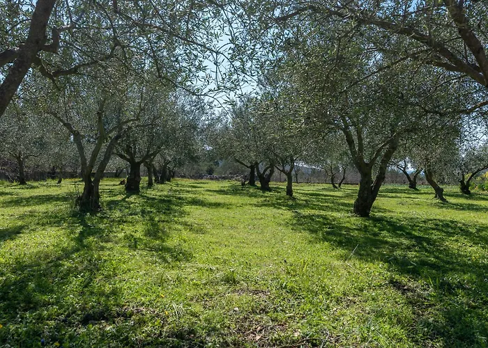 Piedra Seget - A Hidden Paradise דונג'י סגט