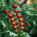 Piedra Seget - A Hidden Paradise